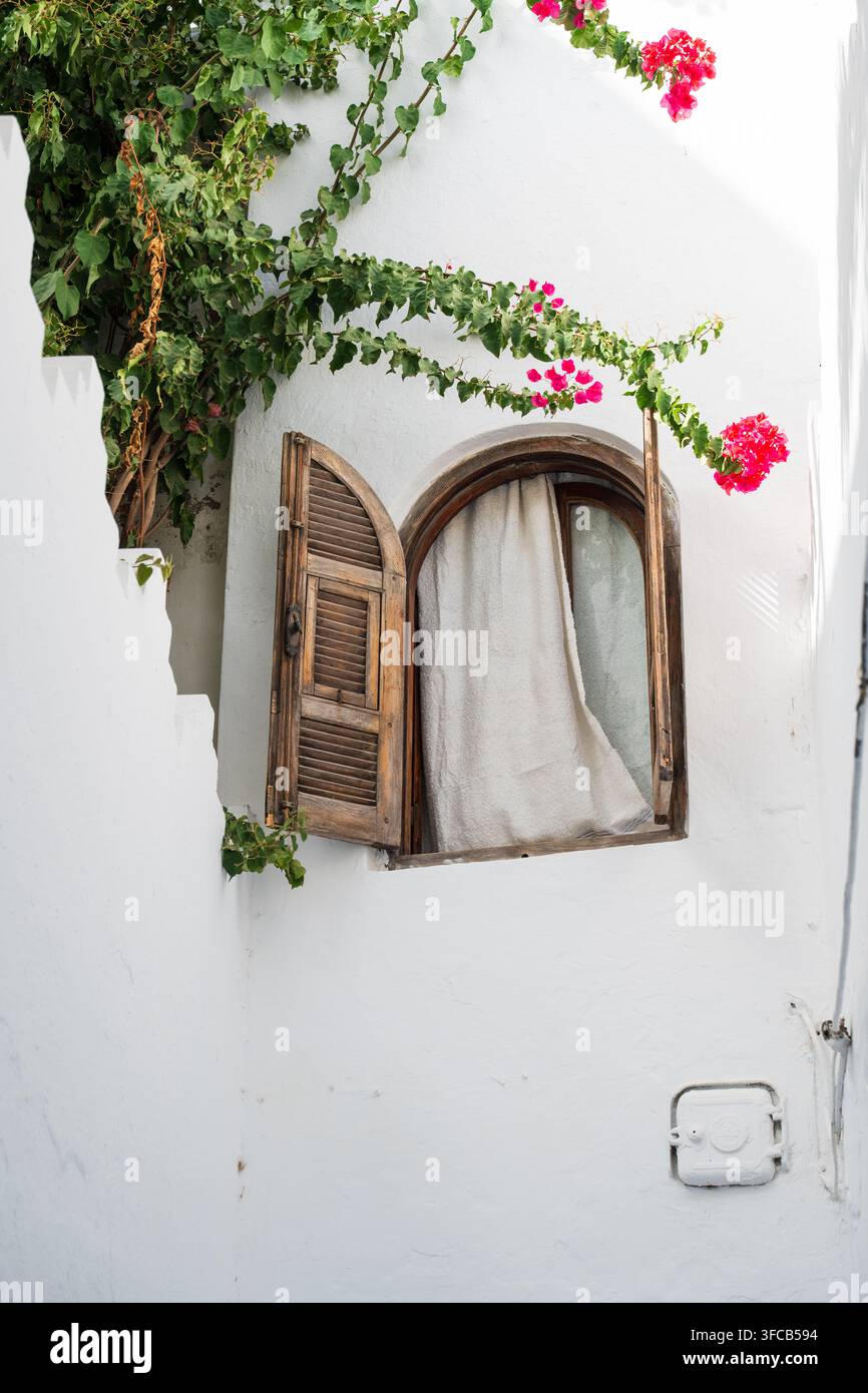 Fenêtre en bois brun traditionnelle d'une maison résidentielle entourée de plantes vertes décoratives luxuriantes dans la médina d'Asilah, au Maroc. Banque D'Images