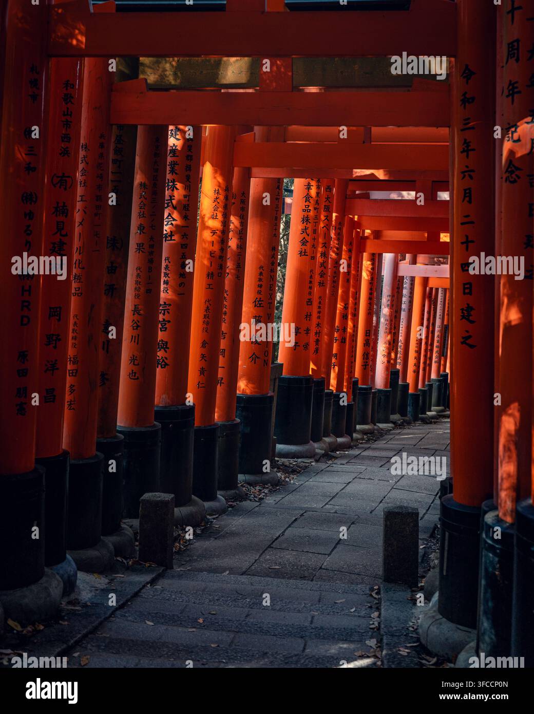 Rangées de portes torii vermillon illuminées au sanctuaire Fushimi Inari à Kyoto, au Japon. Banque D'Images
