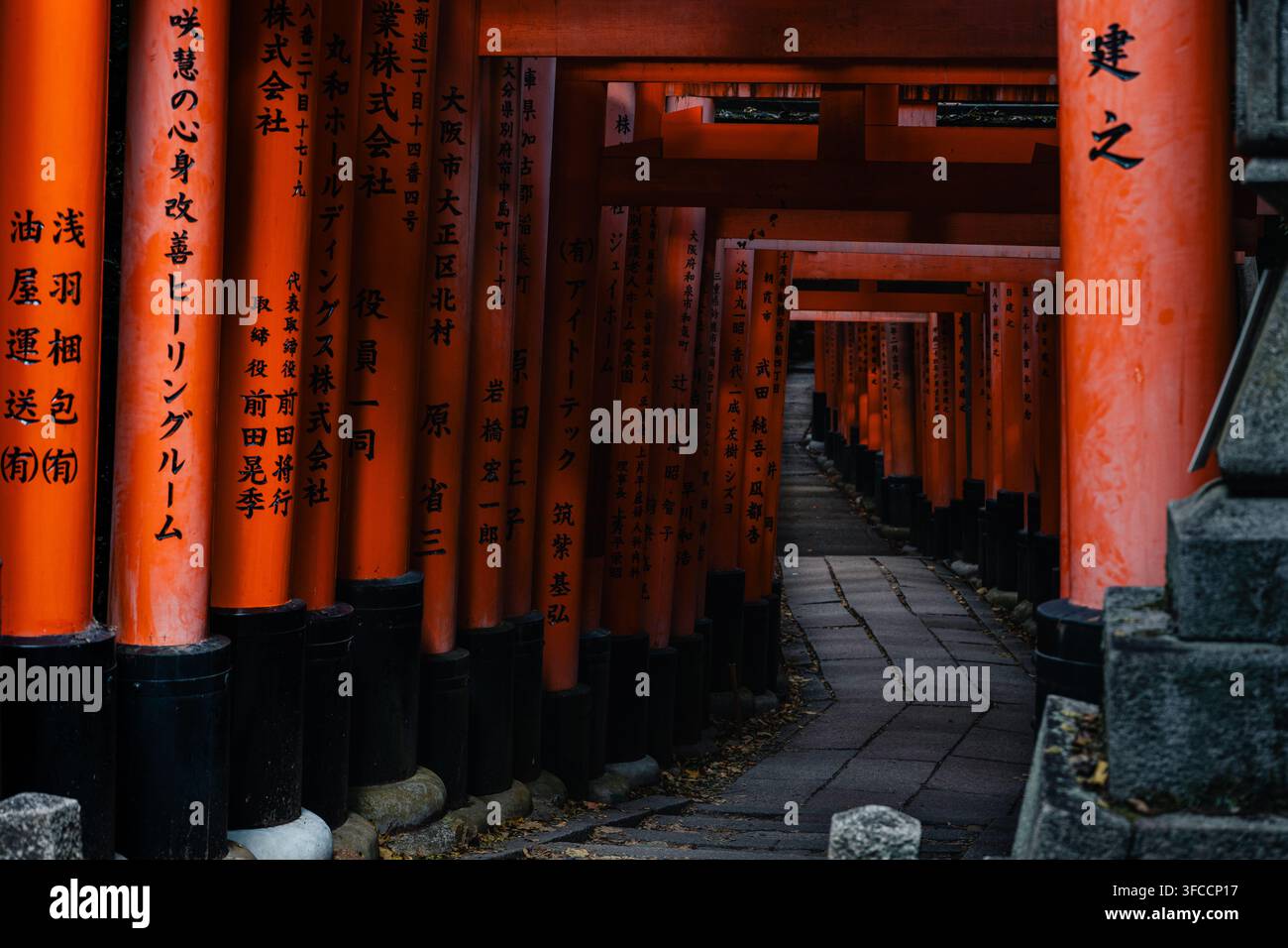 Rangées de portes torii vermillon illuminées au sanctuaire Fushimi Inari à Kyoto, au Japon. Banque D'Images