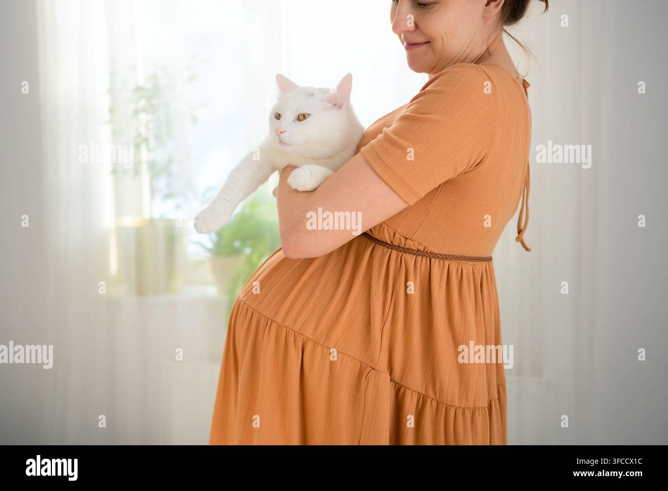 Une femme enceinte tient un chat blanc dans une pièce lumineuse. La future mère enlaçant sa compagne montre une manipulation compatible et soignée ainsi qu'une compatibilité avec les animaux domestiques pendant la grossesse à la maison. Banque D'Images