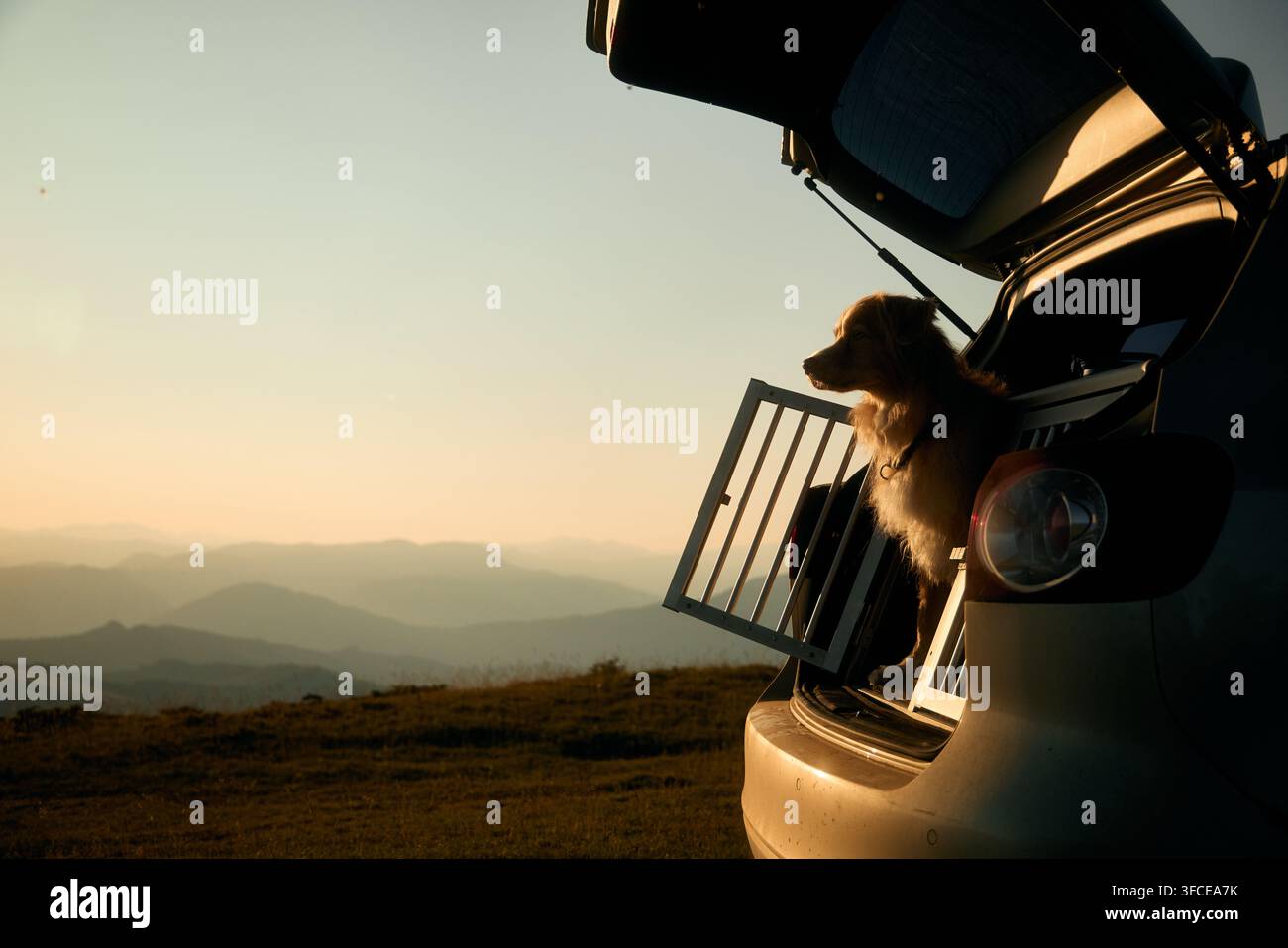Un chien roux est assis à l'arrière d'une voiture avec la trappe ouverte face à l'horizon. Le doux coucher de soleil sur les montagnes encadre la scène de chaleur. Banque D'Images