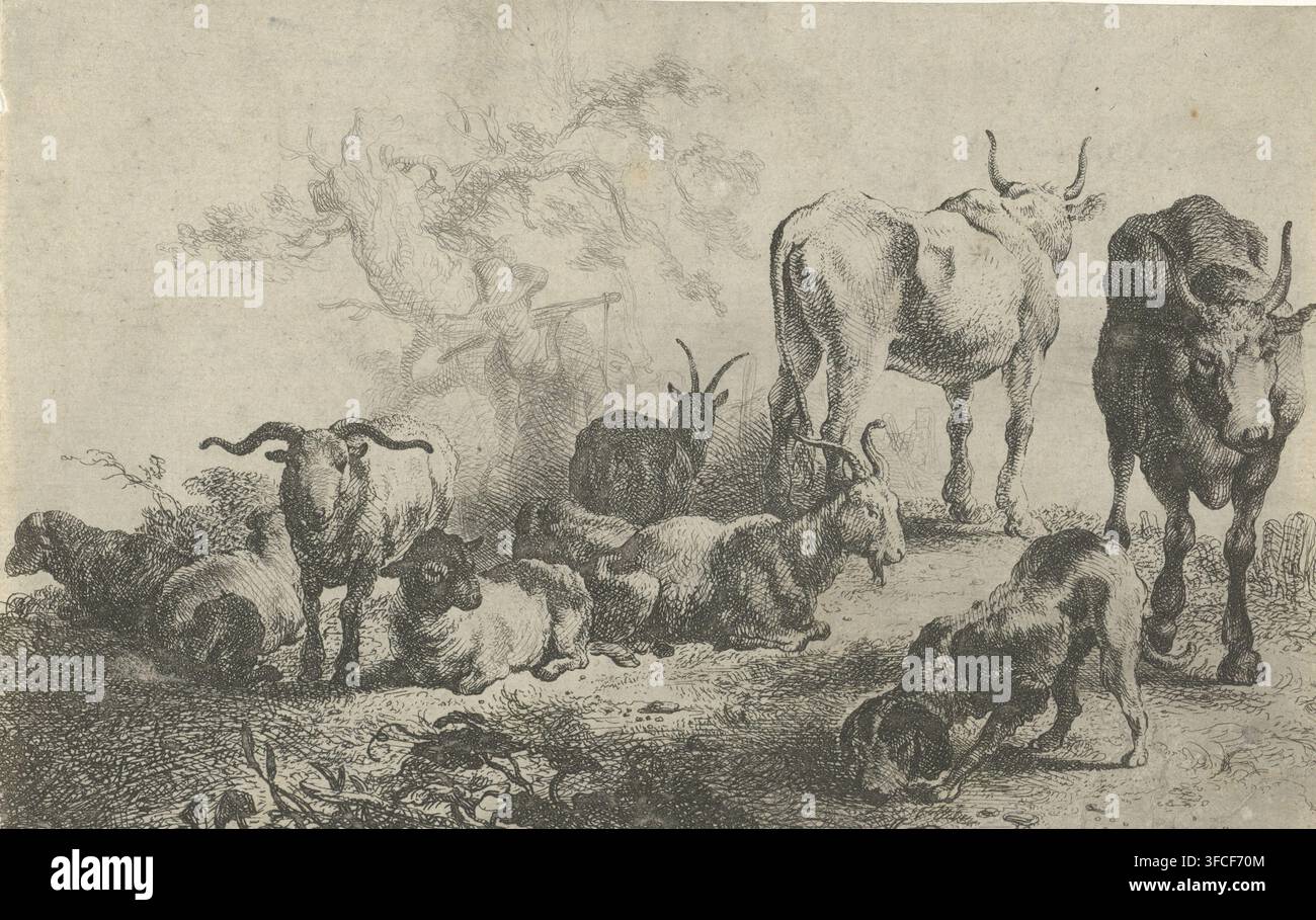 Paysage avec du bétail et une laitière, estampe, Dans un paysage se trouvent plusieurs vaches, chèvres et un chien. Derrière eux se tient une laitière avec un joug sur les épaules., graveur : Jan van Noordt (1623-1676), Amsterdam, d'après un dessin de Pieter Bodding van Laer, 1644 - 1676, papier, eau-forte, gravure, eau-forte et gravure, hauteur 111 mm x largeur 174 mm, chien, chèvre, vache, laitière., Une esquisse monochrome montrant une scène pastorale avec un groupe d'animaux rassemblés sur un sol accidenté ; plusieurs moutons et chèvres sont allongés ou debout, avec un mouton tourné vers l'avant et une autre chèvre aux cornes courbées visible parmi Banque D'Images