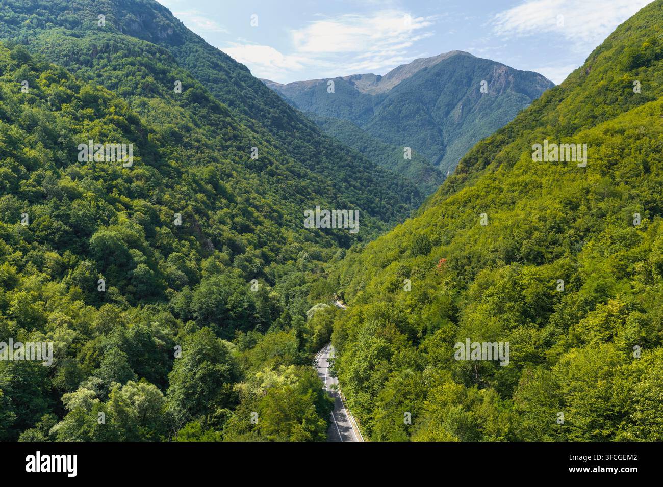 Vue aérienne du parc national de Mavrovo mettant en scène une route sinueuse à travers des forêts luxuriantes et des montagnes à Mavrovo, Mavrovo et Rostusa, en Macédoine du Nord Banque D'Images