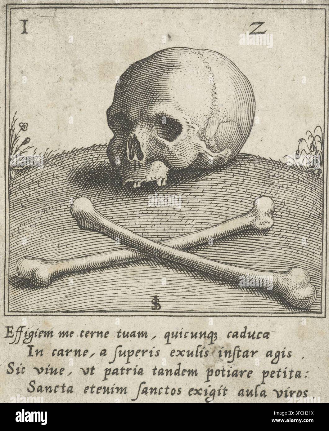 Scène de vanitas avec un crâne et deux os, estampe, Scène de vanitas avec un crâne et deux os sur une colline., graveur : Johann Sadeler (I), graveur : Justus Sadeler, Venise, 1560 - 1620, papier, gravure, gravure, hauteur 98 mm x largeur 75 mm, crâne comme symbole de « Vanitas ». Une gravure détaillée en noir et blanc montre un crâne humain reposant sur une surface doucement incurvée et texturée avec une paire de longs os croisés devant lui ; le crâne fait légèrement face au spectateur avec des orbites vides et des dents visibles, et les os ont des extrémités arrondies et des ombres qui soulignent leur forme cylindrique. Le Banque D'Images