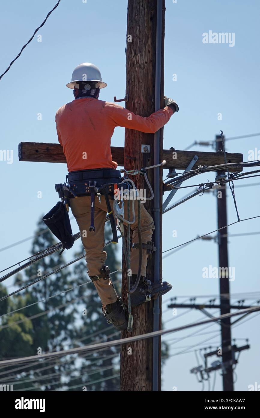 Un électricien est montré de dos, juste avant d'installer de nouveaux câbles le long d'une ligne téléphonique sur un poteau, pendant la journée en vue verticale. Banque D'Images