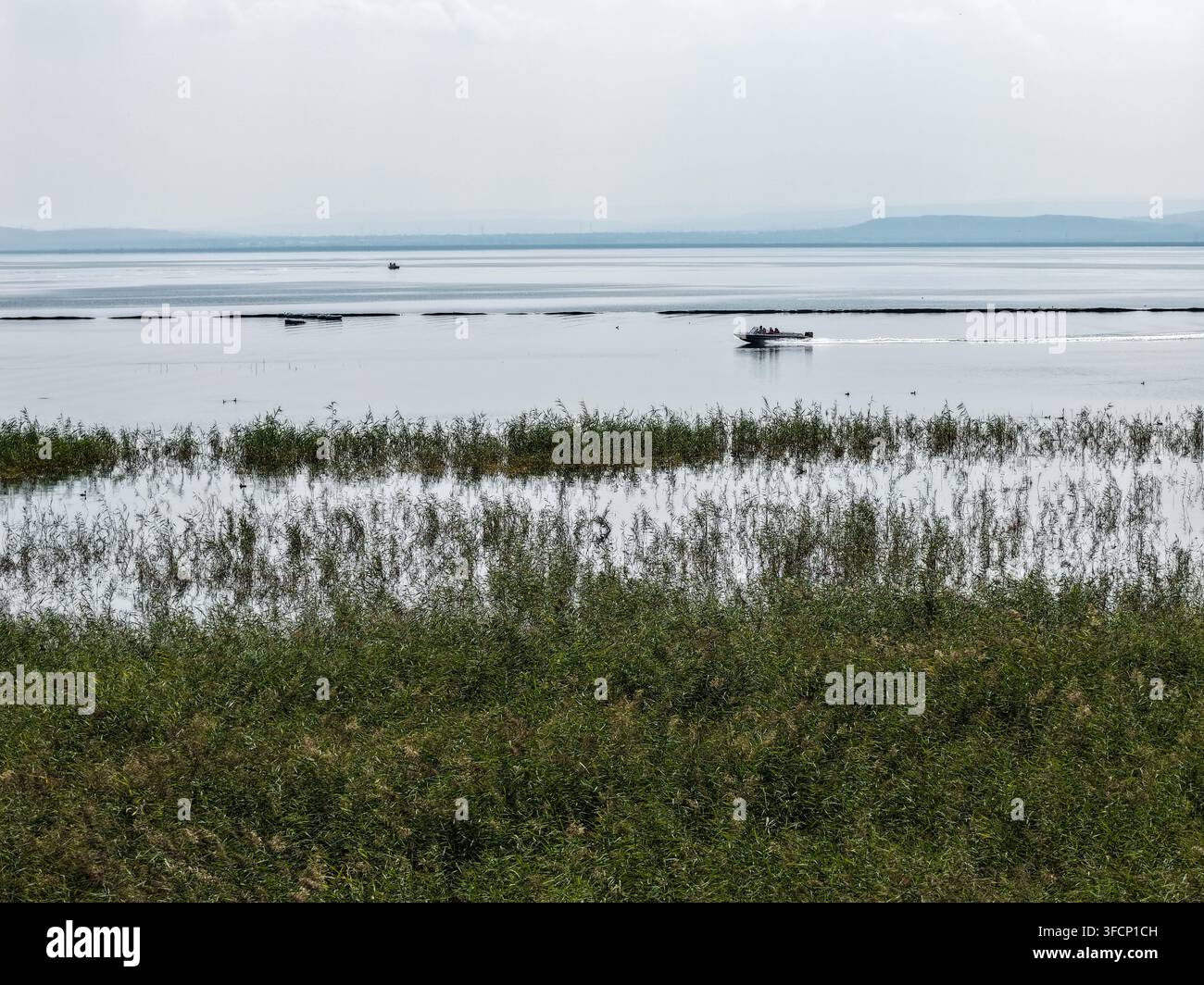 (260828) -- HULUN BUIR, 28 août 2026 (Xinhua) -- Une photo prise par drone le 21 août 2026 montre une vue du lac Daihai à Ulanqab, dans la région autonome de Mongolie intérieure, au nord de la Chine. Les lacs Hulun, Ulan Suhai et Daihai sont trois grands lacs d'eau douce en Mongolie intérieure. Autrefois affectés par des facteurs naturels et humains, les lacs ont subi une réduction de leurs surfaces aquatiques et une détérioration de la qualité de l'eau. Des efforts de restauration écologique globaux ces dernières années ont apporté des améliorations notables, avec une récupération progressive de la qualité de l'eau et une augmentation des espèces de faune. Les trois lacs jouent désormais un Banque D'Images