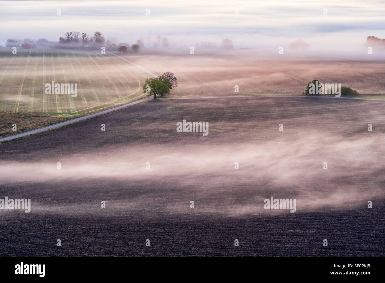 Brouillard matinal dans un paysage rural avec des champs et des routes Banque D'Images
