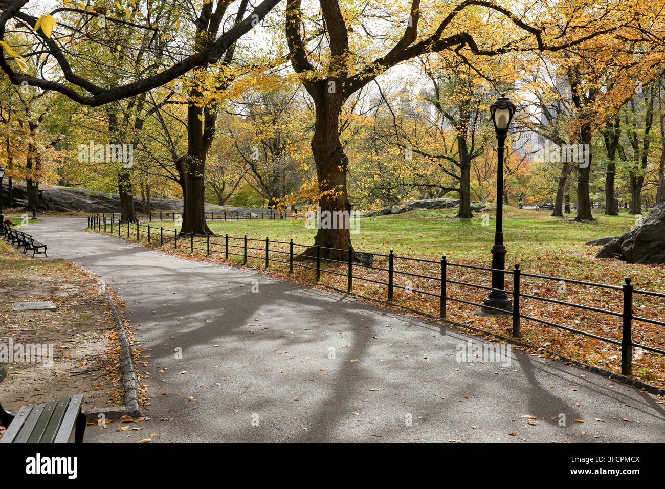 Chemin sinueux paisible dans le Central Park pendant l'automne Banque D'Images