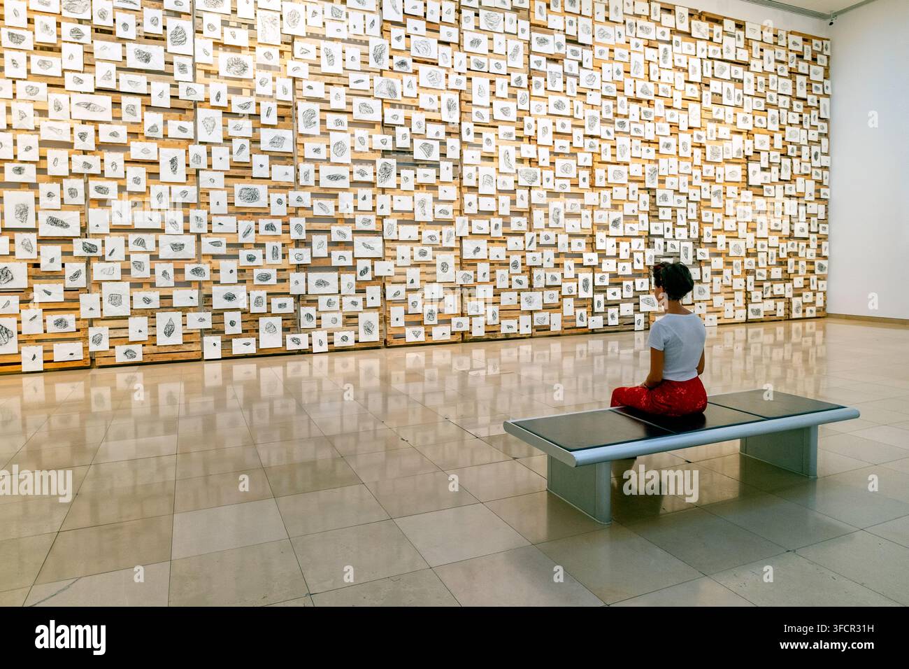 Basalt Shards (2017) par l'artiste visuel libanais Rayyane Tabet, Carré d'Art Nîmes, Musée d'Art Moderne et Contemporain, Nîmes, France, Europe Banque D'Images