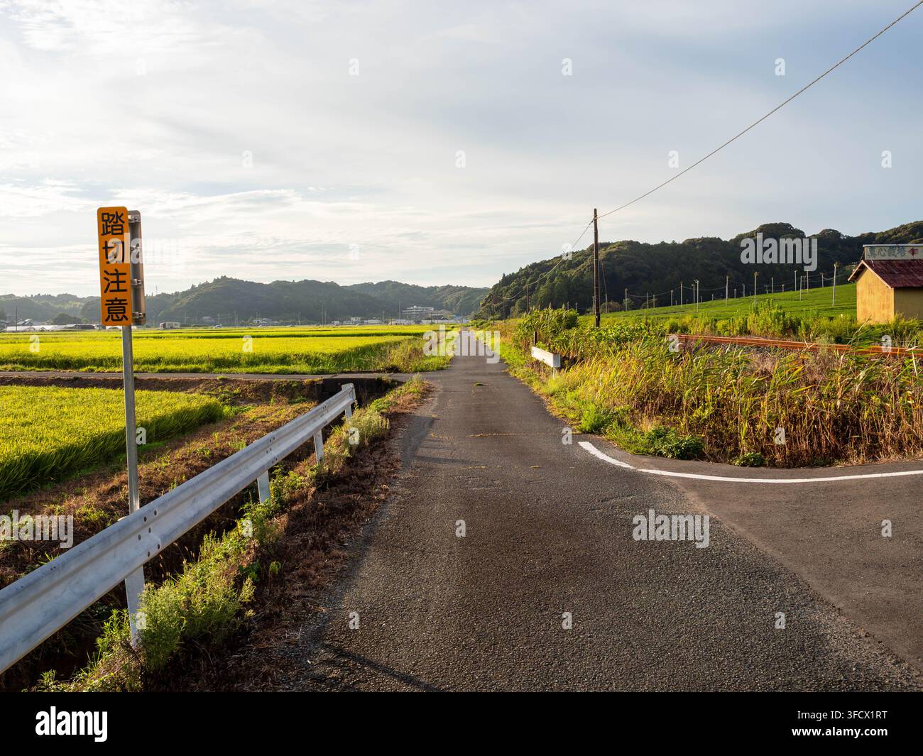 Route, voies ferrées et champs de thé à Yamada, Fukuroi, Shizuoka, Japon, photographiés le 28 août 2026. Banque D'Images