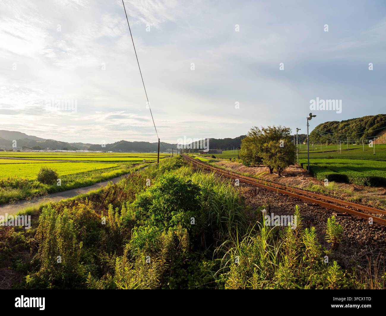 Route, voies ferrées et champs de thé à Yamada, Fukuroi, Shizuoka, Japon, photographiés le 28 août 2026. Banque D'Images