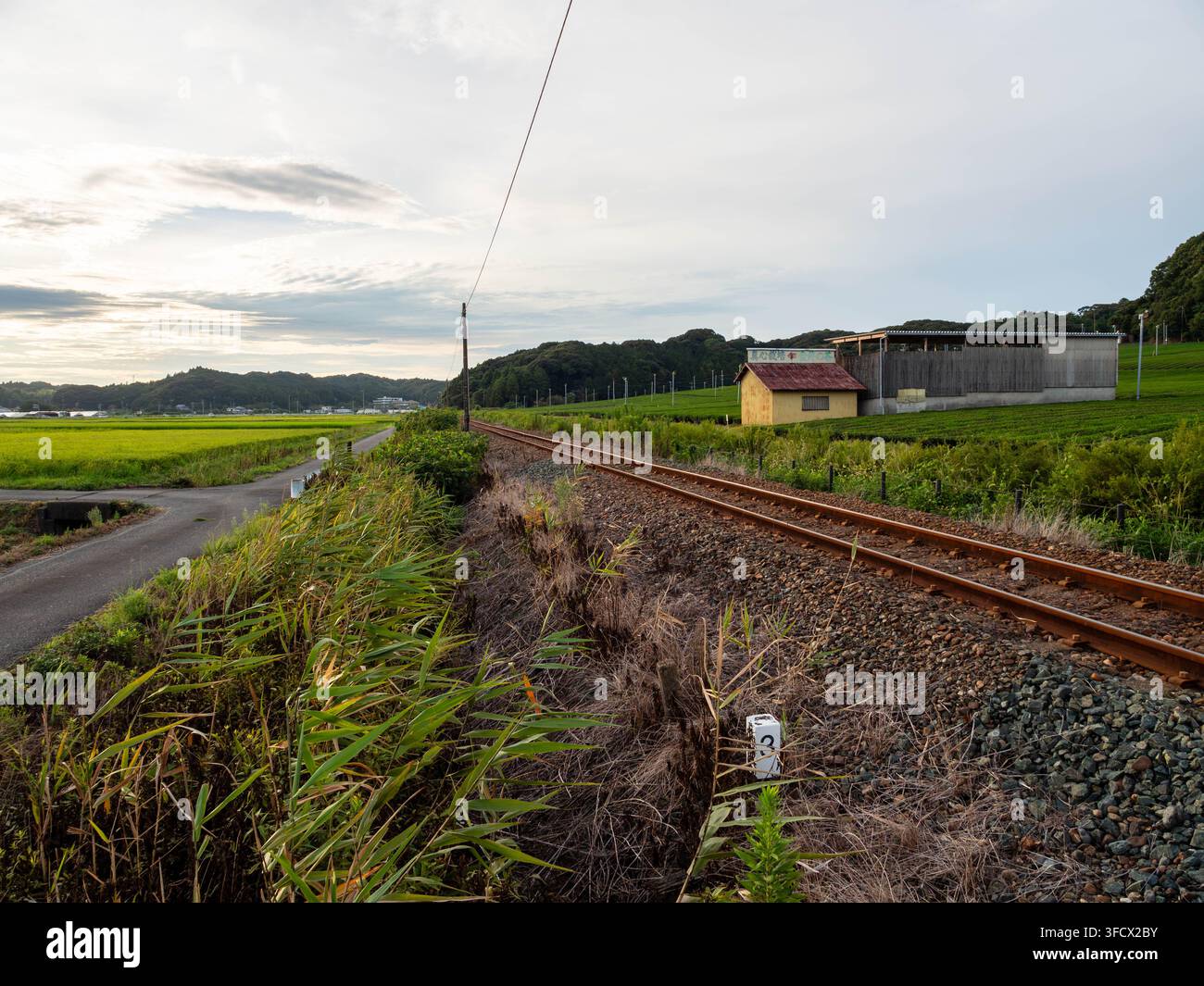 Route, voies ferrées et champs de thé à Yamada, Fukuroi, Shizuoka, Japon, photographiés le 28 août 2026. Banque D'Images