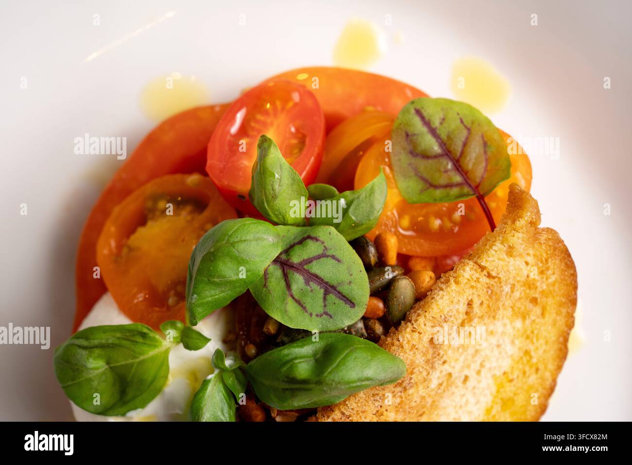 Salade de tomates, basilic et burrata - plat servi dans un restaurant Banque D'Images