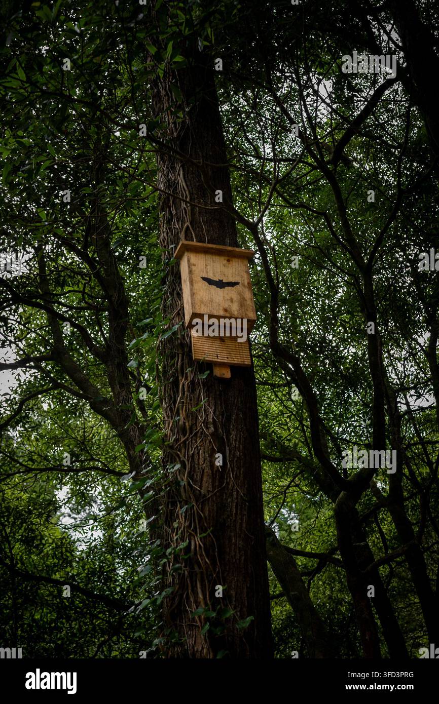 Maison en bois pour chauves-souris offrant un habitat sûr et un abri pour les chauves-souris, contribuant à la conservation de la faune et soutenant la biodiversité Banque D'Images