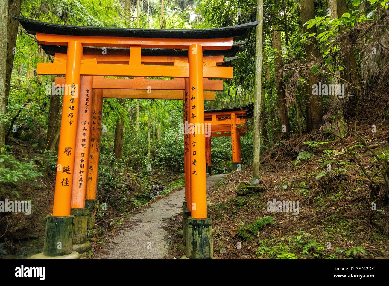 Un chemin tranquille serpente à travers une forêt luxuriante et verte vers une porte torii vermillon classique au Japon. Partie du chemin du sanctuaire Fushimi Inari Banque D'Images