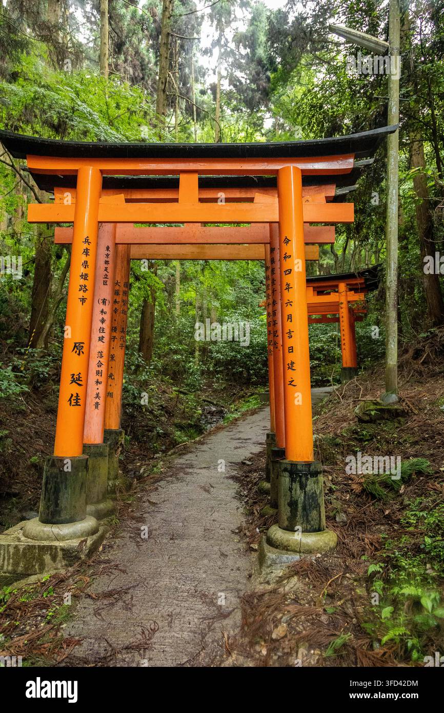 Un chemin tranquille serpente à travers une forêt luxuriante et verte vers une porte torii vermillon classique au Japon. Partie du chemin du sanctuaire Fushimi Inari Banque D'Images