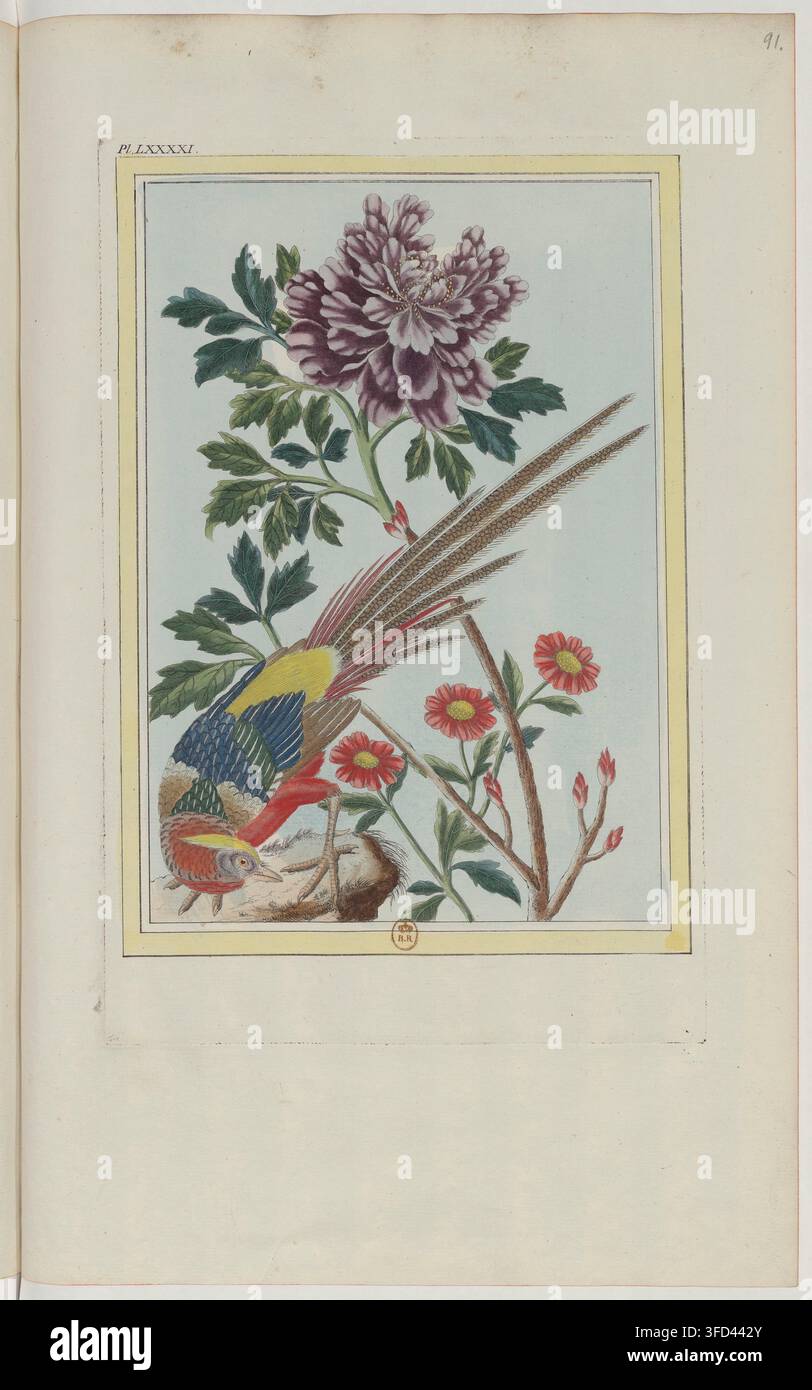 Une illustration botanique détaillée tirée de "Collection précieuse et enluminée des fleurs les plus belles et les plus curieuses", un ensemble dirigé par Pierre-Joseph Buc'hoz, représentant un oiseau perché parmi les fleurs et les plantes, publié en 1776. Banque D'Images