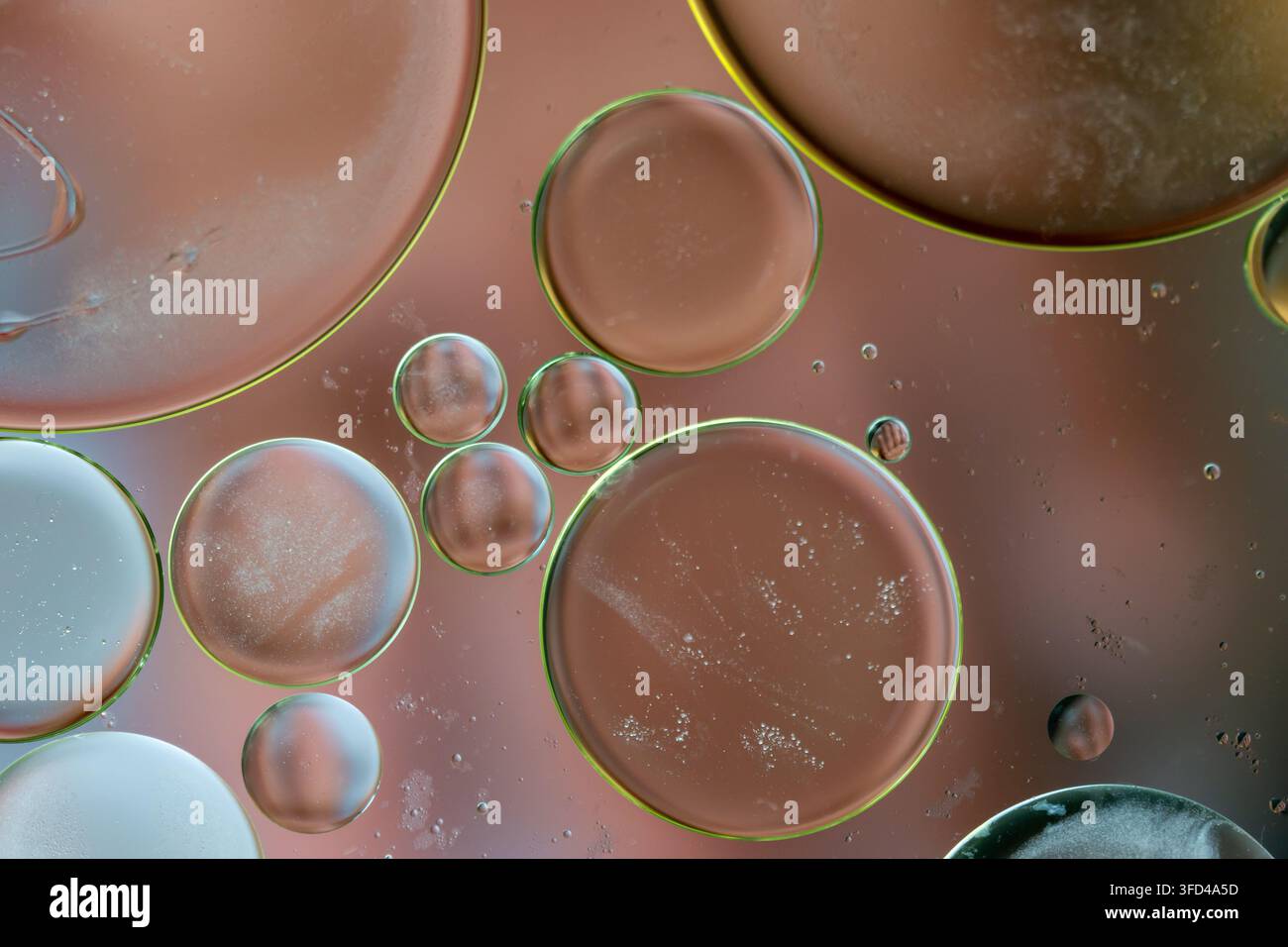Des bulles douces flottent dans le liquide, scintillant avec des teintes douces Banque D'Images