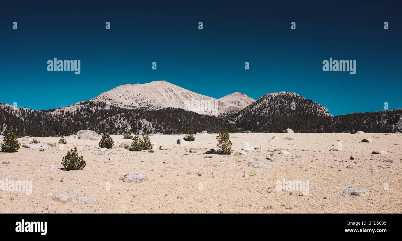 Plateau sablonneux de haute altitude surplombant les pics du mont Whitney le long du Pacific Crest Trail Banque D'Images