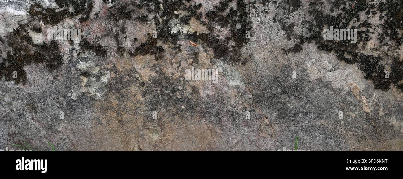 Surface de rocher moussue en gros plan horizontal avec une texture géologique rugueuse et poreuse, coloration minérale variée, mousse et un petit ver brun Banque D'Images