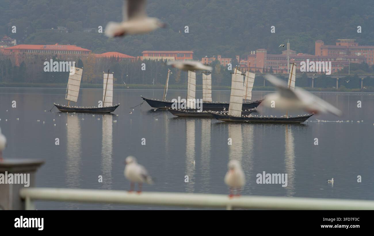 Des voiliers traditionnels reposent sur le lac Dianchi avec des mouettes perchées, Kunming Banque D'Images
