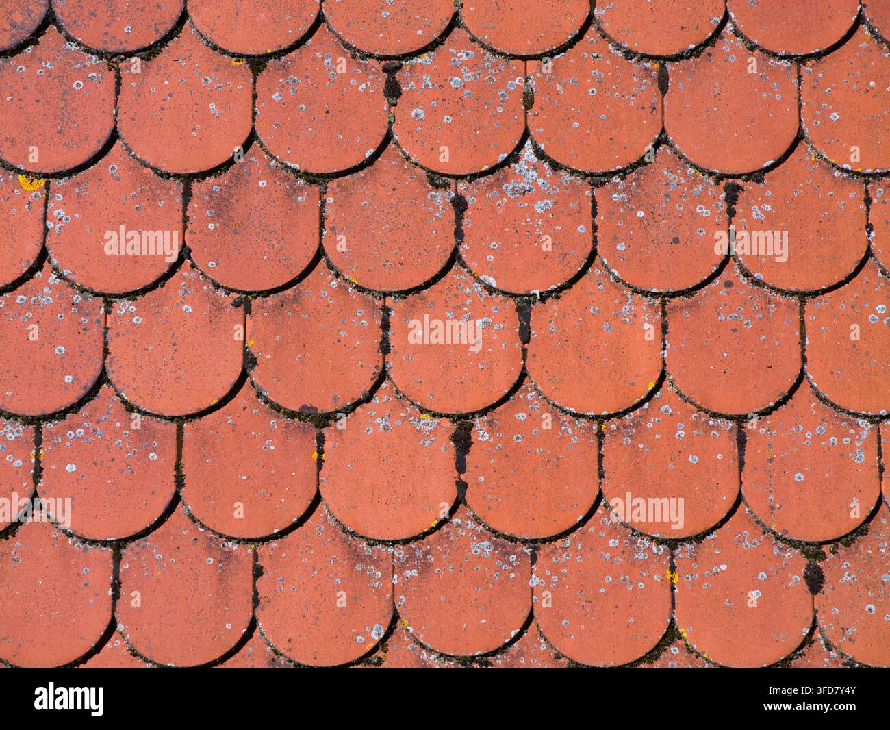 Vue rapprochée de tuiles en terre cuite rouges vieillies avec des coutures sombres et de la lichen pâle, créant une texture architecturale rustique Banque D'Images