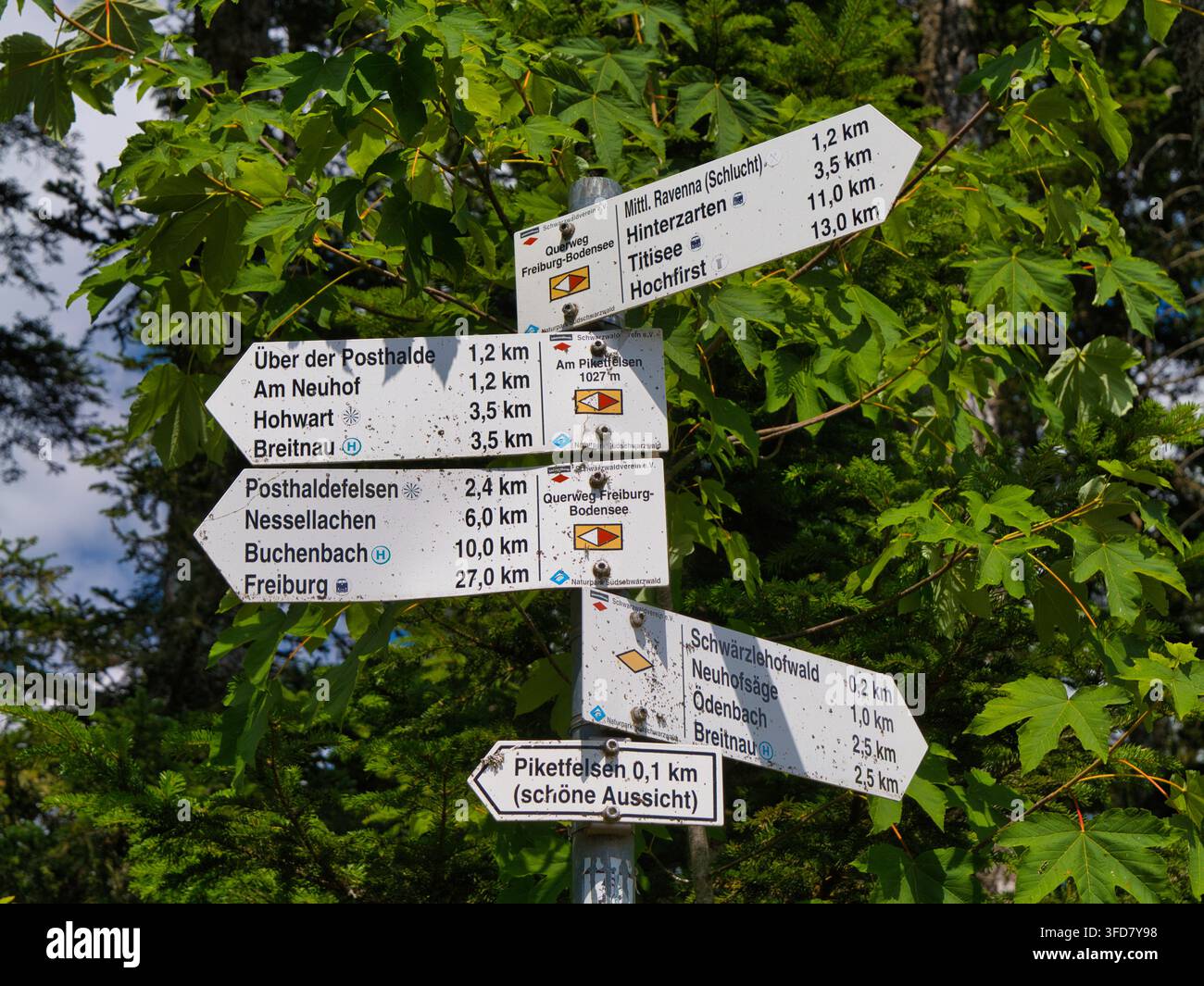 Ravennaschlucht, Allemagne - 08 juil. 2026 : Des panneaux de randonnée érodés indiquent des itinéraires près du ravin de Ravenne dans la Forêt Noire en Allemagne, encadrés par une végétation estivale luxuriante Banque D'Images