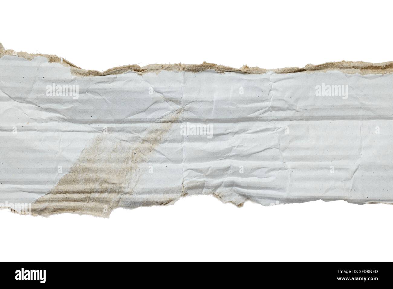 Morceau de carton blanc gondolé déchiré avec des bords rugueux et une texture usée Banque D'Images