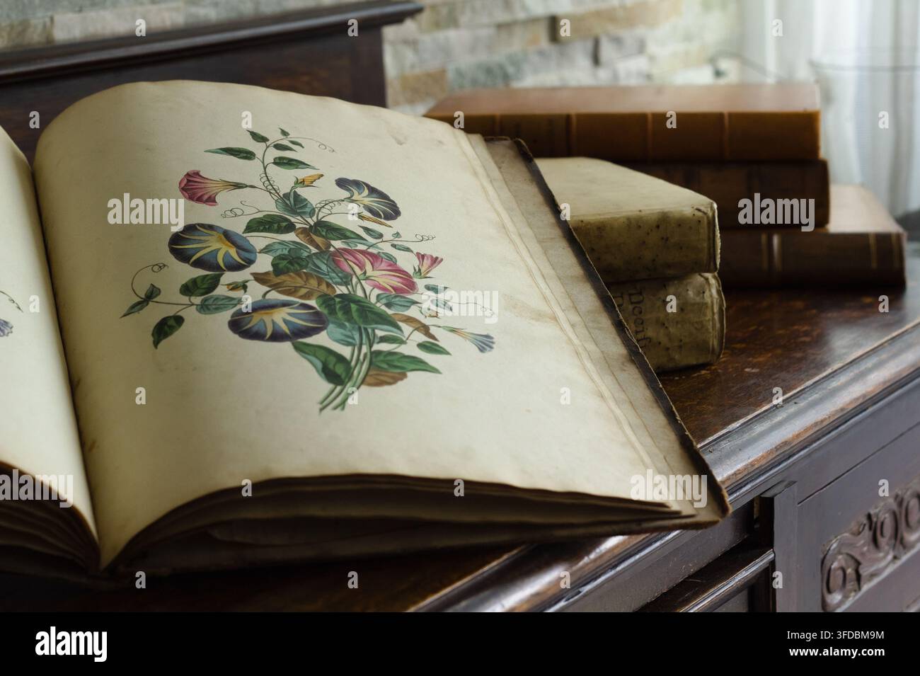 Livre botanique antique ouvert sur une illustration coloriée à la main de fruits, exposé avec de vieux livres sur une table en bois sombre. Banque D'Images