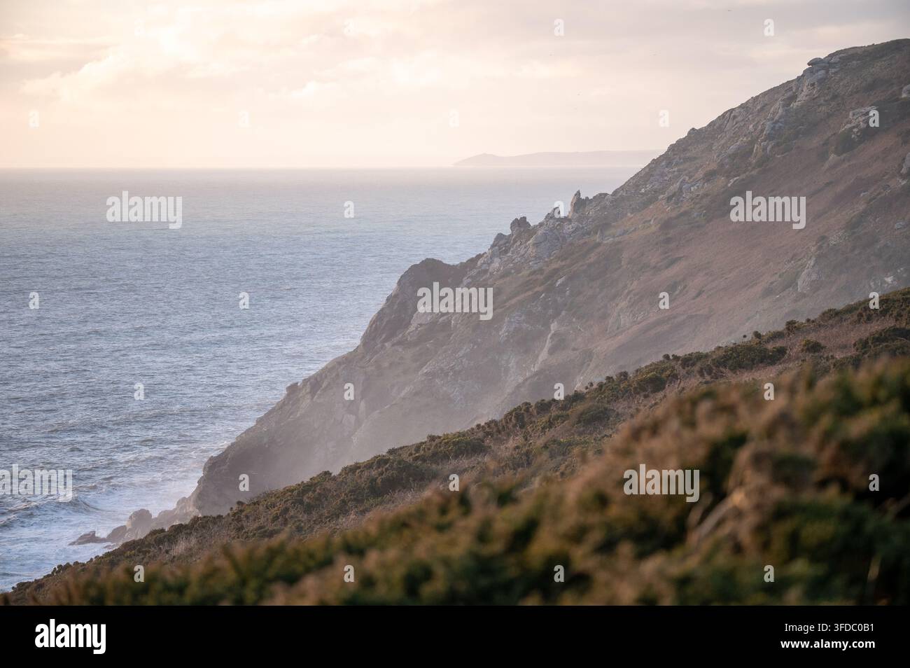 Soleil couchant bas et brume maritime sur les falaises et les genévriers au-dessus de Soar Mill Cove, South Devon, Angleterre, 31 janvier 2026 Banque D'Images