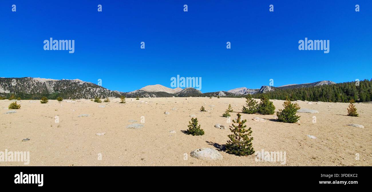 Vue panoramique large d'un plateau sablonneux à haute altitude et de pics granitiques éloignés le long du Pacific Crest Trail Banque D'Images