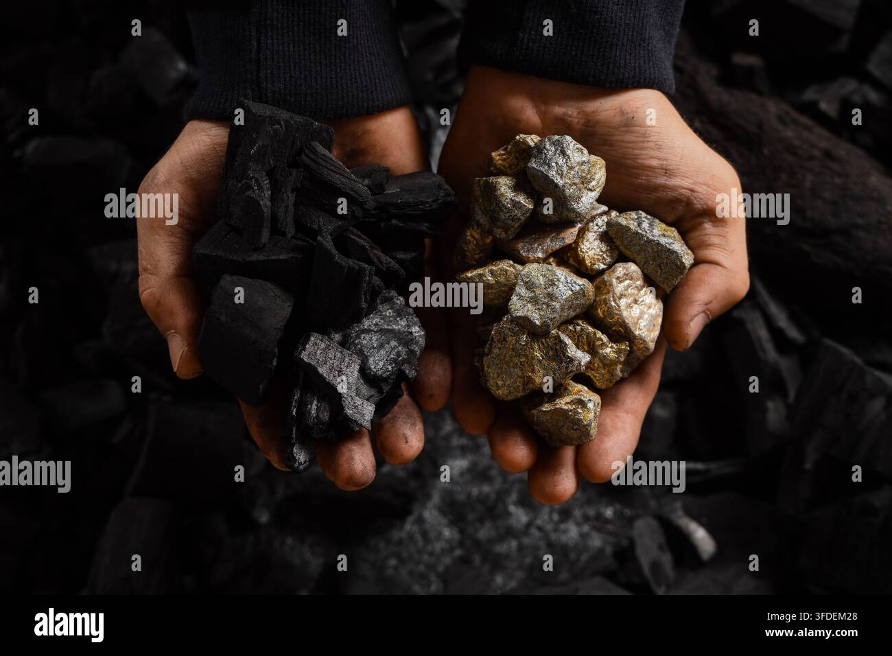 Concept de valeur et de choix, personne tenant du charbon végétal brut et du minerai d'or dans les mains pour comparer la richesse et les ressources énergétiques dans une décision commerciale métaphorique Banque D'Images