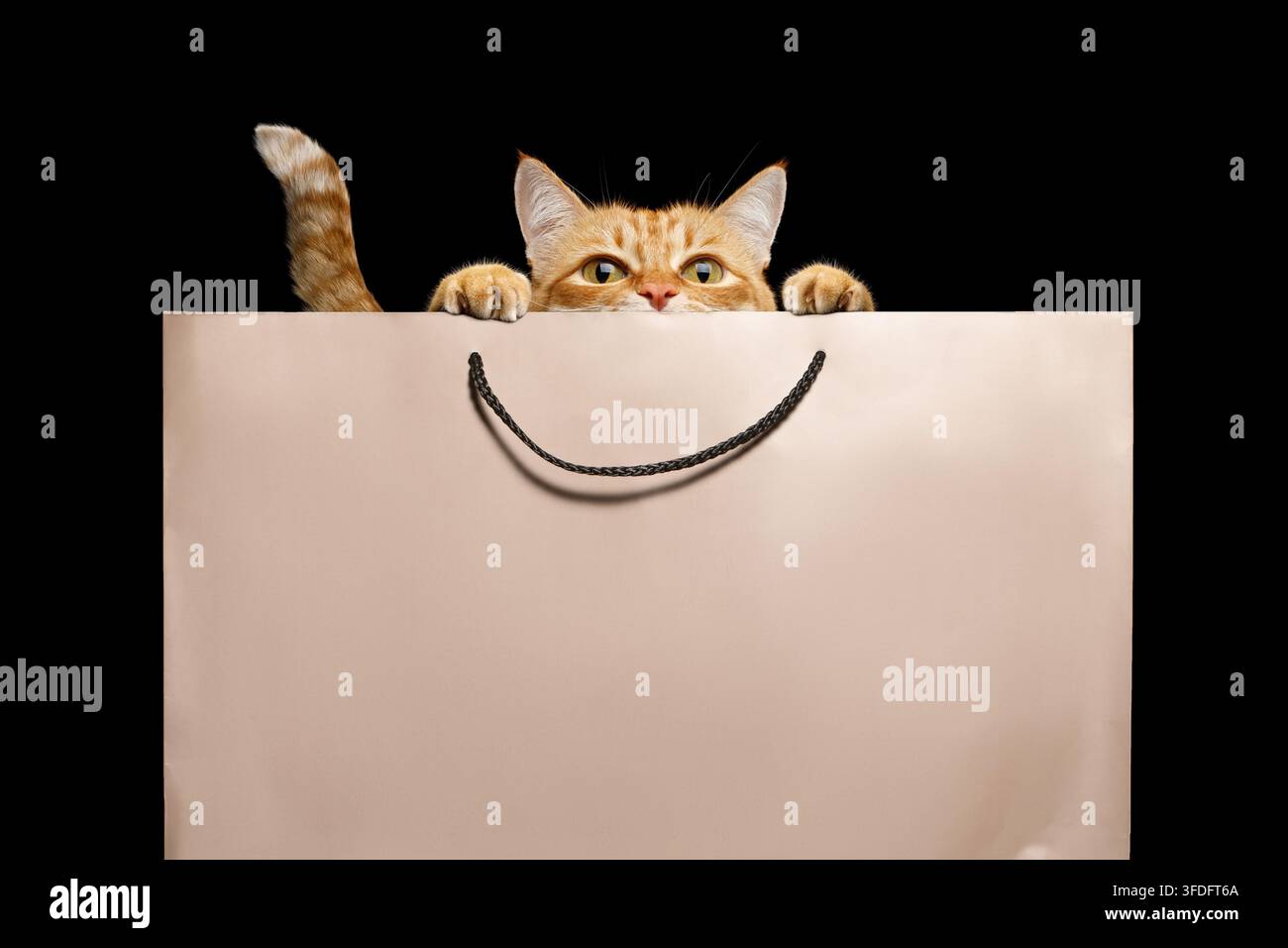 Chat roux curieux jette un coup d'œil par-dessus un sac cadeau beige vide, pattes reposant sur le bord, queue enroulée à côté de la poignée, espace de copie disponible sur le sac, isolé contre des plâces Banque D'Images