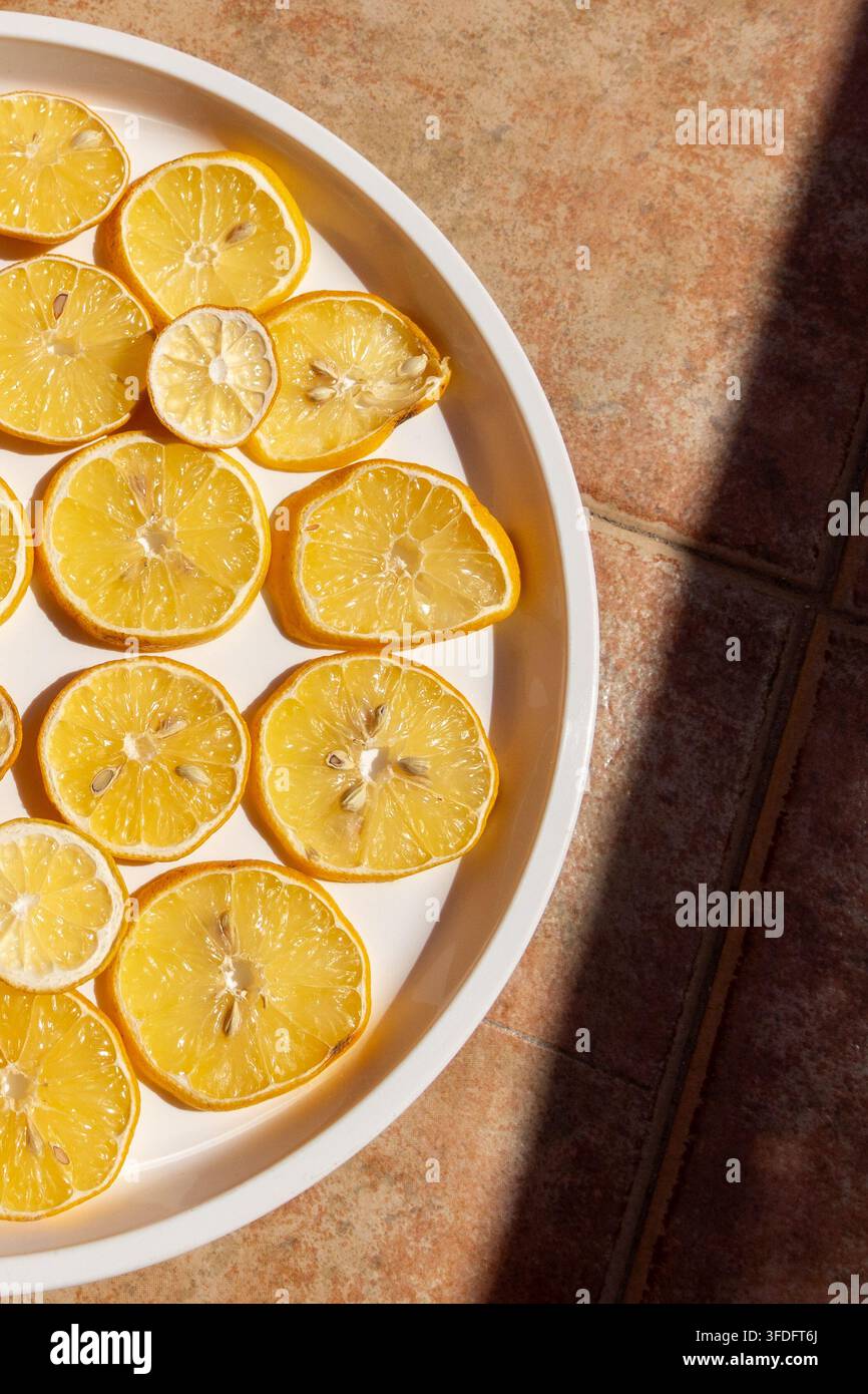Tranches de citron fraîches séchant au soleil sur une assiette blanche Banque D'Images