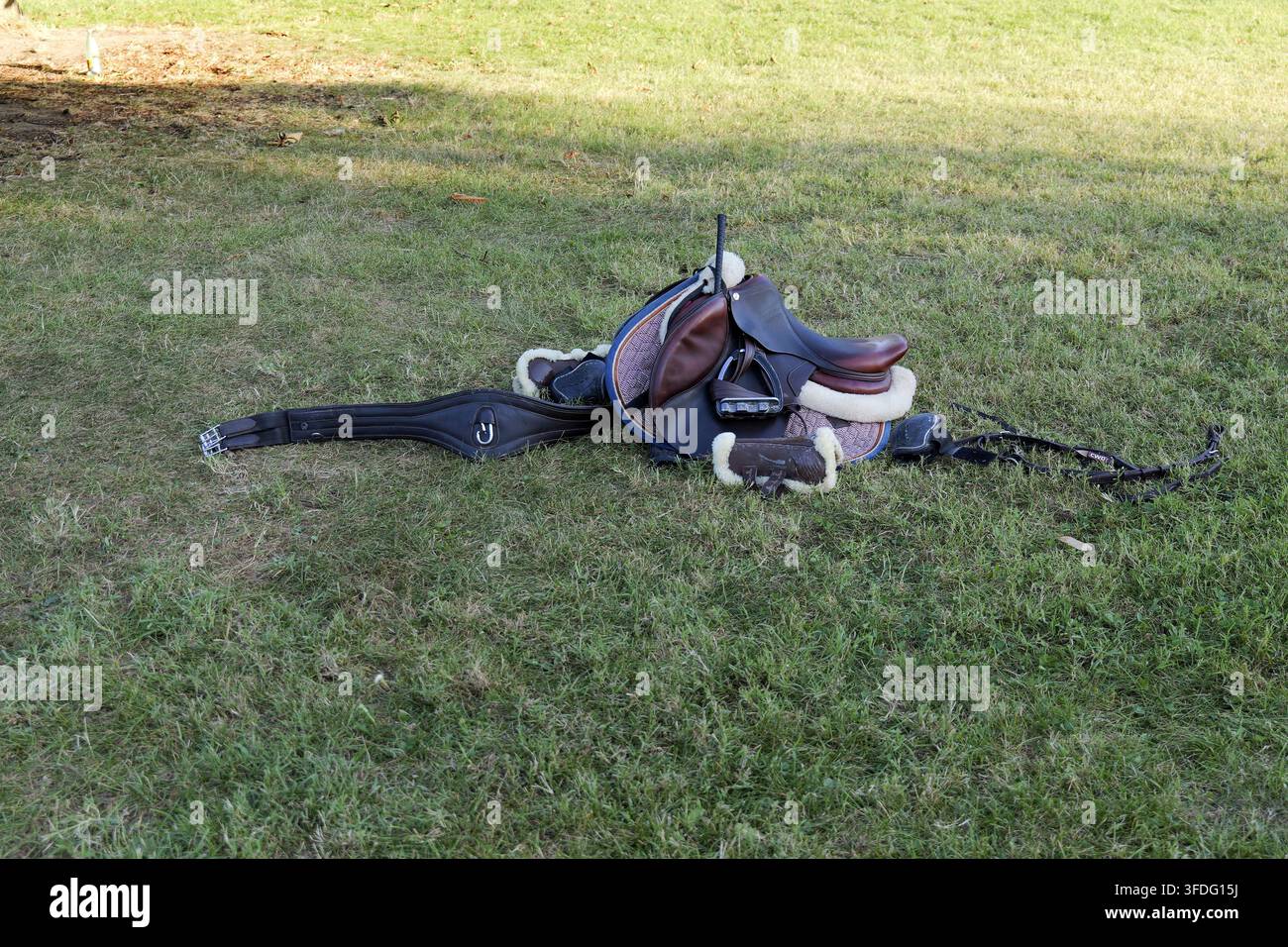 Selle anglaise avec coussinets en peau de mouton, étriers, sangles et bride posés sur de l'herbe verte, représentant le sport équestre, l'équitation et les activités de plein air Banque D'Images