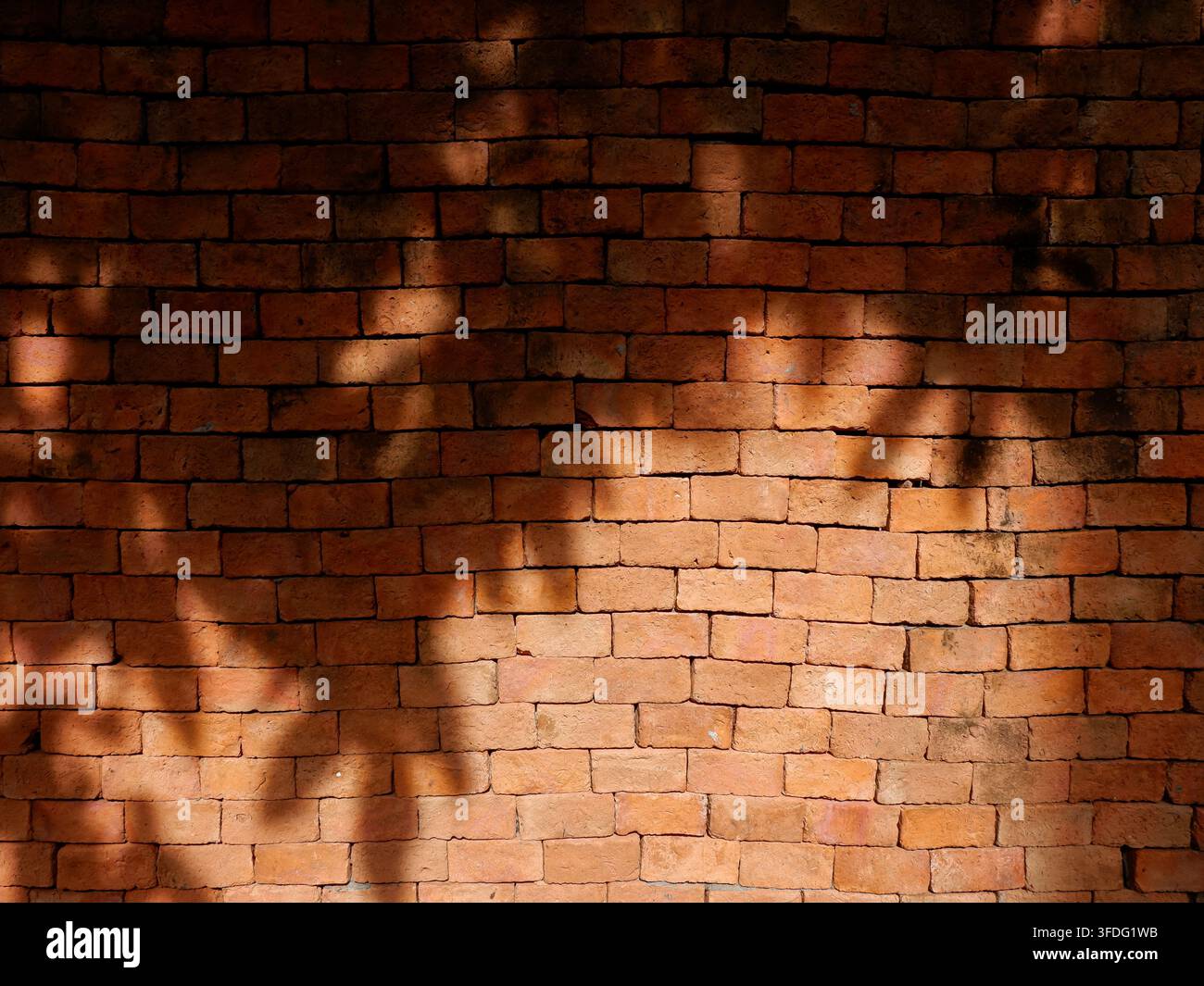 Mur de briques rouges en plein air éclairé par une lumière d'après-midi crue, avec l'ombre des feuilles projetée sur le mur. Banque D'Images