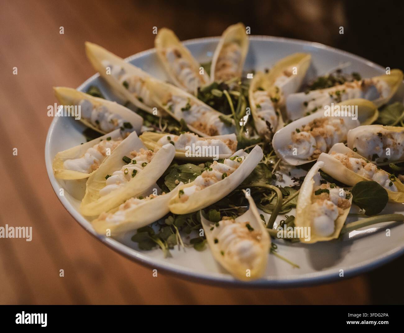 Amuse-gueules en feuilles d'endive gourmet sur une assiette blanche Banque D'Images