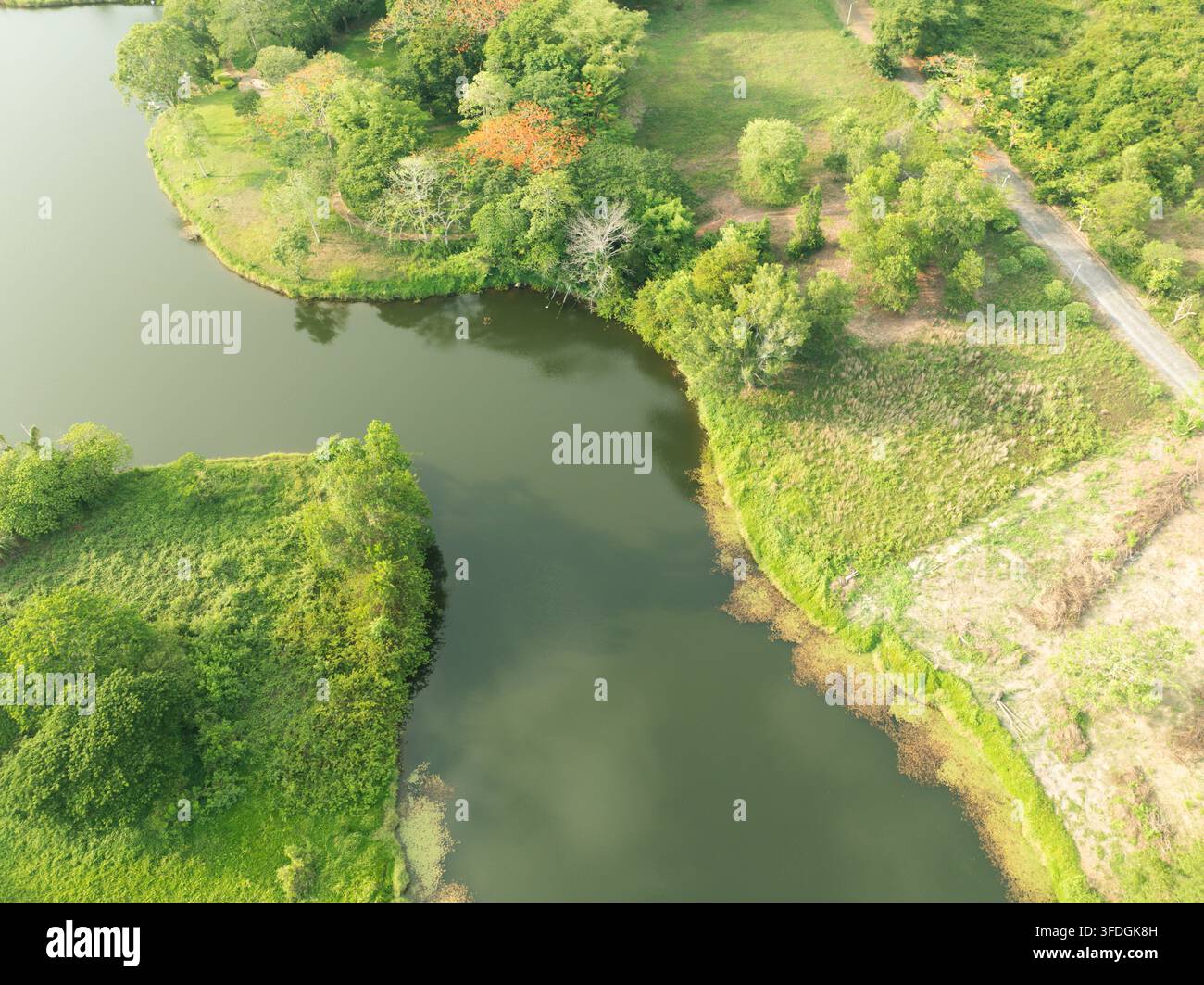Vue aérienne d'un lac d'eau douce tranquille. Durabilité de l'eau, biodiversité, conservation. Ressources en eau, résilience climatique. Protéger la biodiversité Banque D'Images