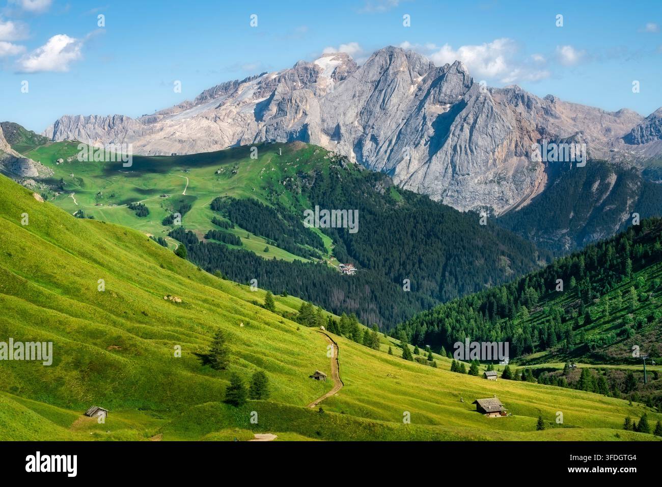 Paysage estival du glacier et du sommet du Marmolada vu depuis les prairies alpines du col du Sella. Trentin-Haut-Adige, Dolomites, Italie Banque D'Images
