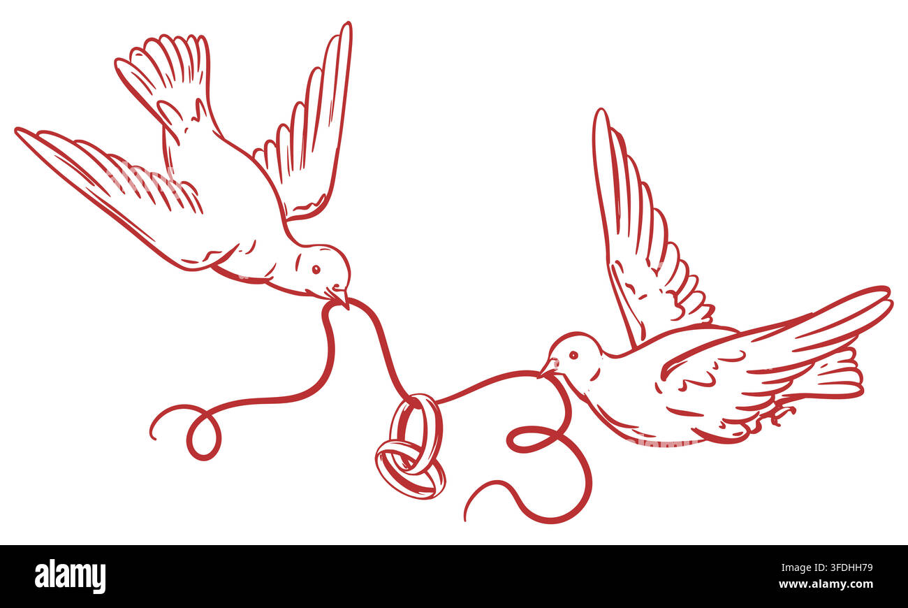 Vector d'une paire de colombes volantes. Les pigeons blancs tiennent des alliances dans leur bec. Un symbole d'amour et de fidélité. Clipart pour la Saint-Valentin ou un mariage. Une idée cadeau pour un être cher. Dessin au trait. Illustration de Vecteur