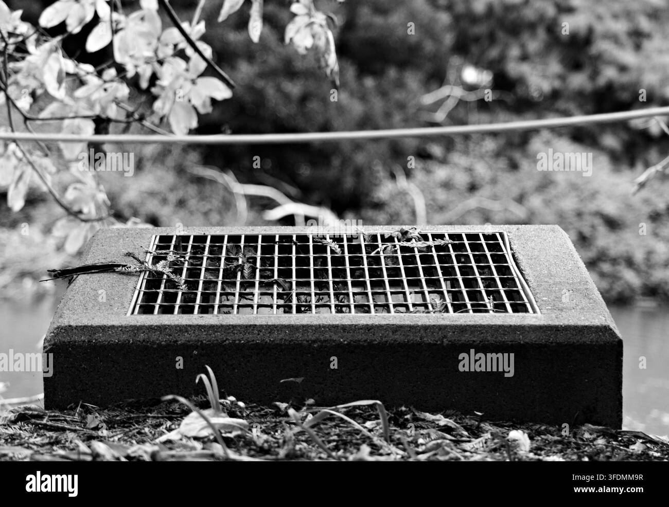Grille d'évacuation en béton avec des feuilles tombées se trouve à côté de la végétation paysagée et de l'eau au Palace of Fine Arts à San Francisco. Banque D'Images