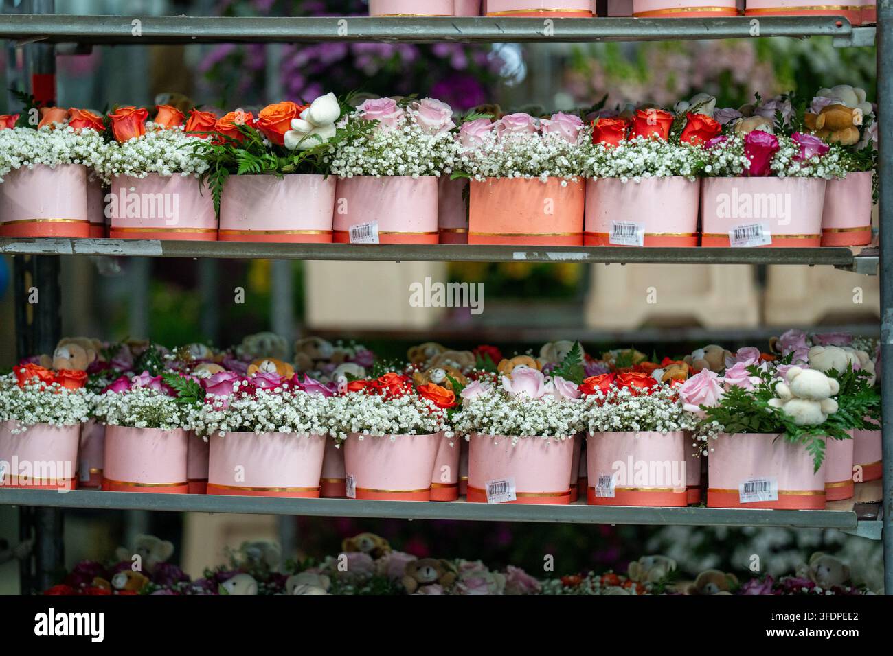 Rangées de bouquets de roses colorés et de délicats choux à la crème disposés dans des boîtes cadeaux roses sur des étagères métalliques dans une fleuriste animée, créant une ambiance romaine Banque D'Images