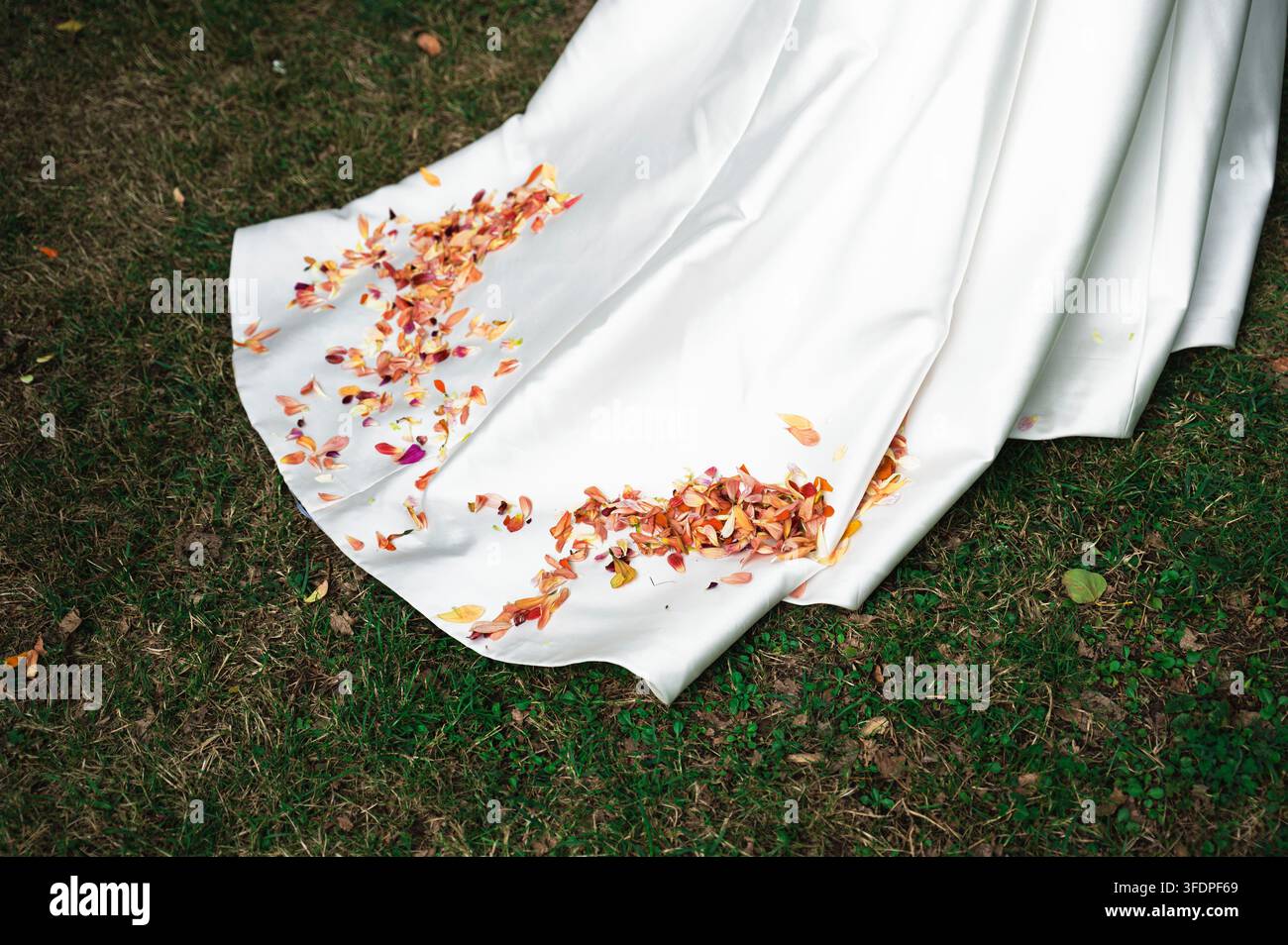 La traîne de la robe de mariée blanche de la mariée posée sur l'herbe verte parsemée de pétales de fleurs. Banque D'Images