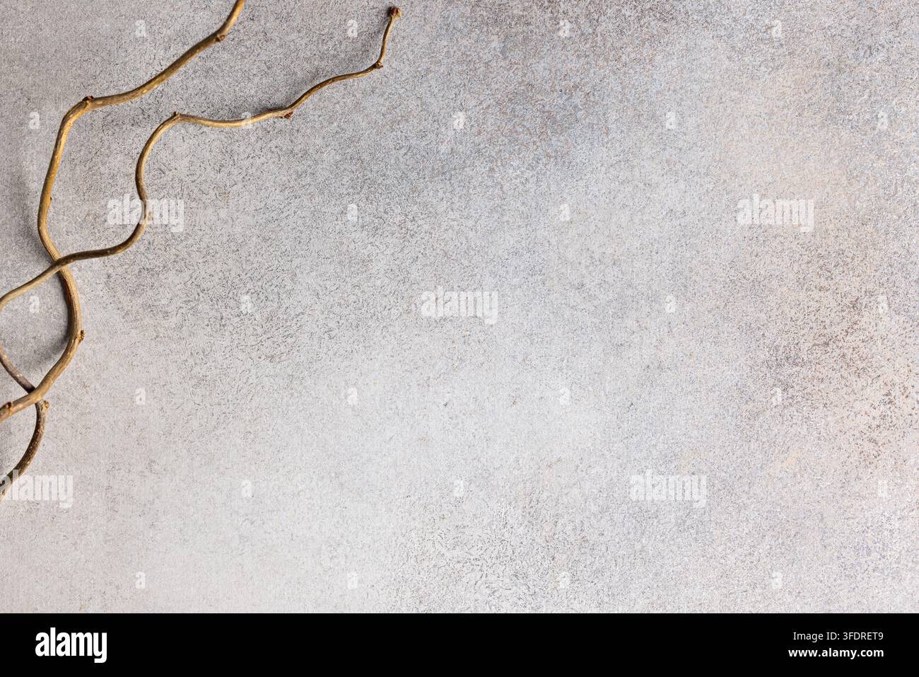 Fond minimaliste avec des brindilles séchées sur une surface en pierre texturée pour des projets de design Banque D'Images