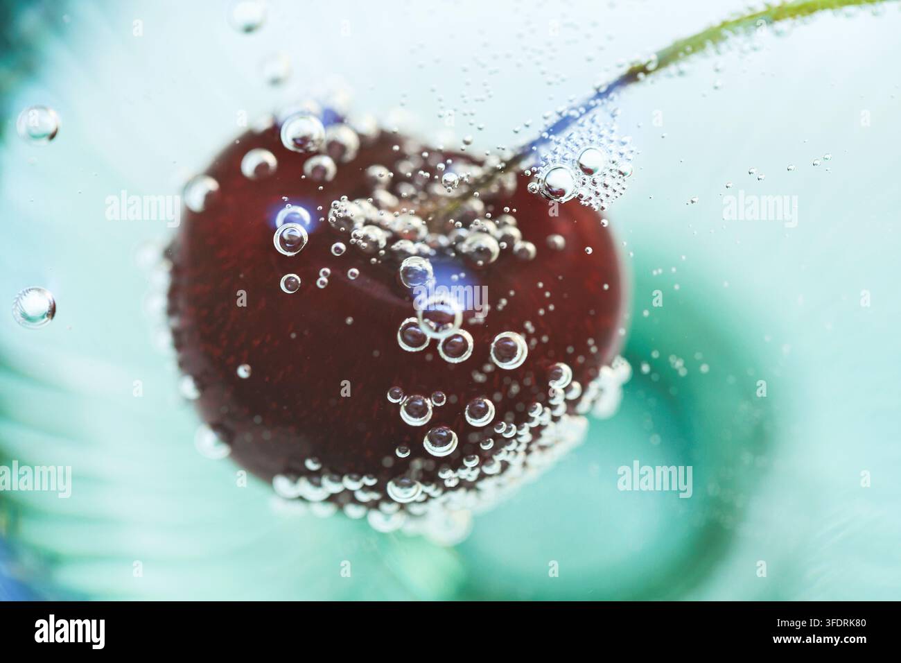 Cerise fraîche flottant dans l'eau pétillante avec des bulles délicates et un fond bleu doux offrant un espace de copie généreux pour le branding et l'invitation bien-être Banque D'Images