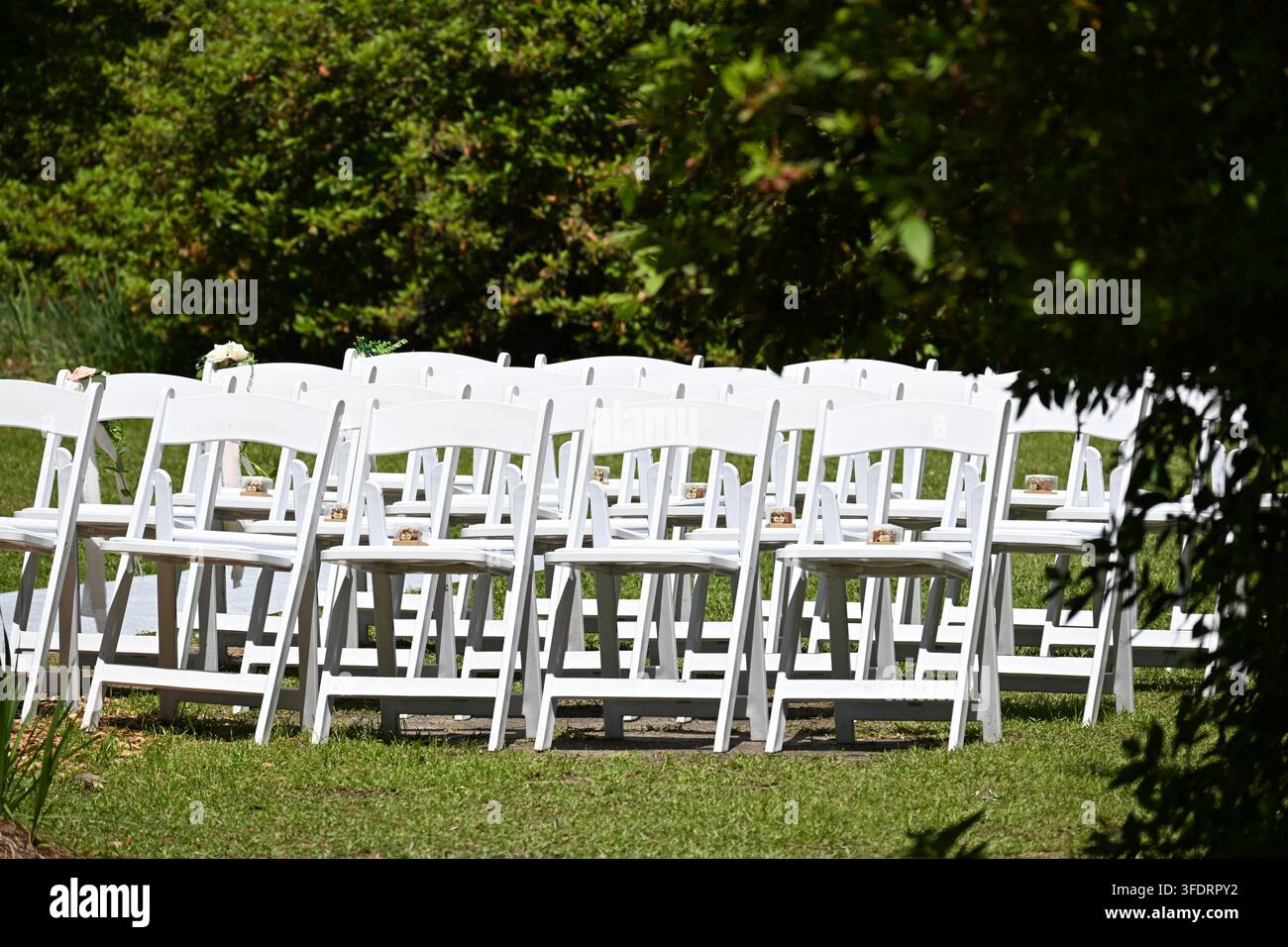 Rangées de chaises blanches préparées pour une cérémonie de mariage en plein air en Caroline du Sud, États-Unis Banque D'Images