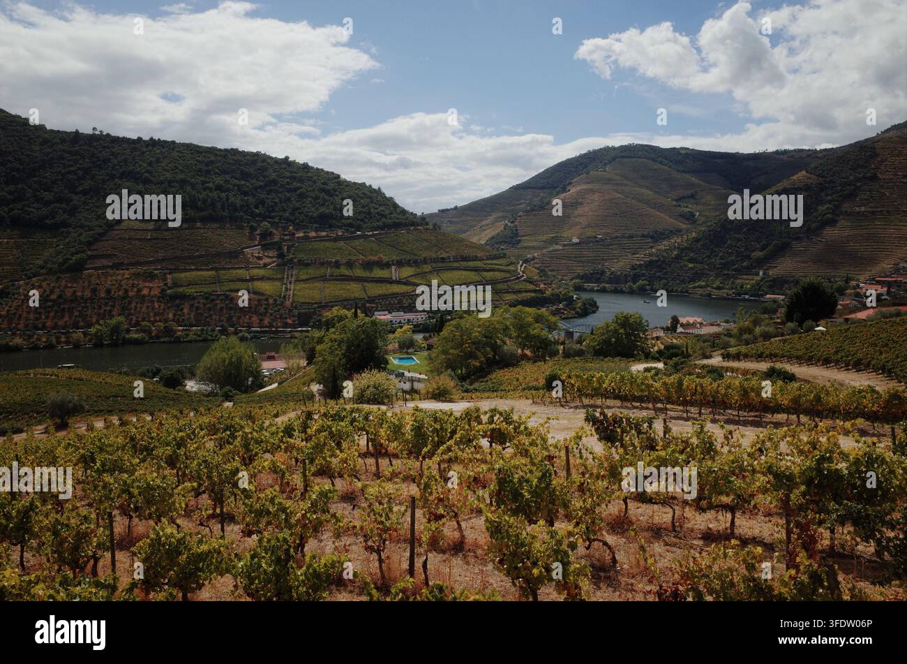 Vue sur les vignobles et la rivière depuis Pinhão dans le Douro, au Portugal Banque D'Images