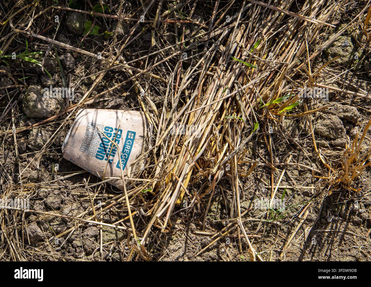 Gobelet jetable en papier abandonné dans l'herbe sèche et la terre craquelée, mettant en évidence les déchets au bord de la route et la pollution environnementale Banque D'Images