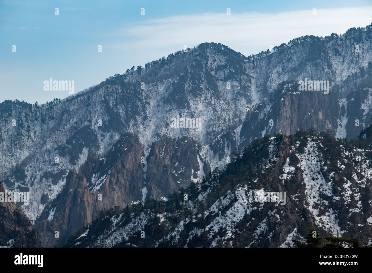 Sommets montagneux enneigés et pentes couvertes de pins sous un ciel pâle et nuageux, créant un paysage de nature sauvage hivernale paisible. Banque D'Images