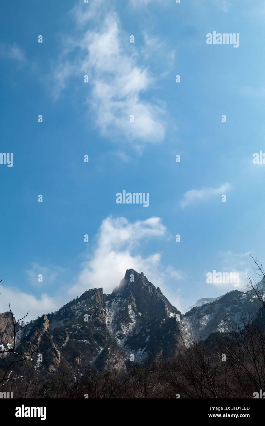 Un pic montagneux rocheux et escarpé s'élève au-dessus d'arbres sans feuilles sombres sous un ciel bleu éclatant parsemé de doux nuages blancs. Banque D'Images